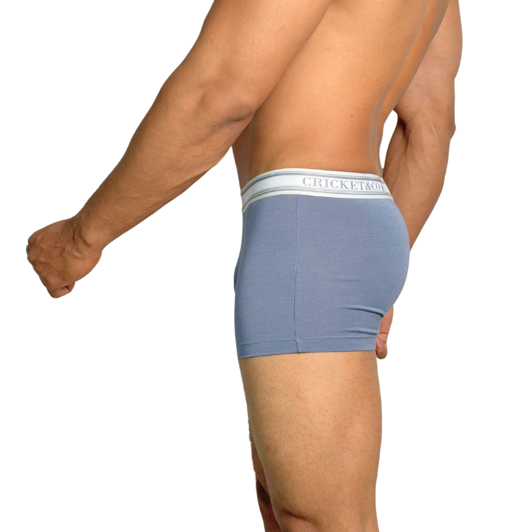 Luxury Boxer
