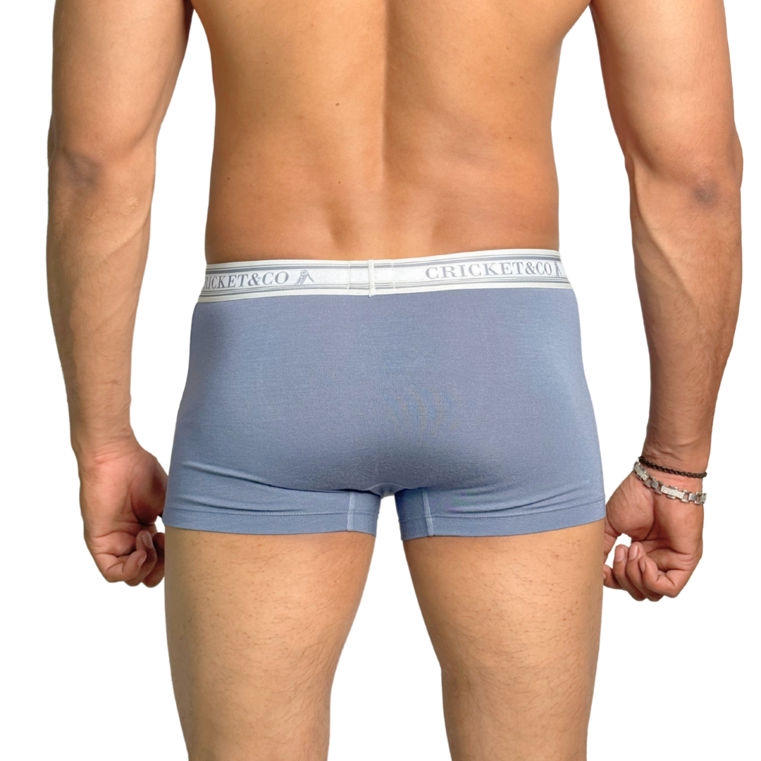 Luxury Boxer
