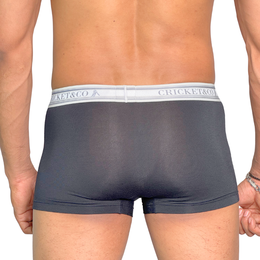 Luxury Boxer